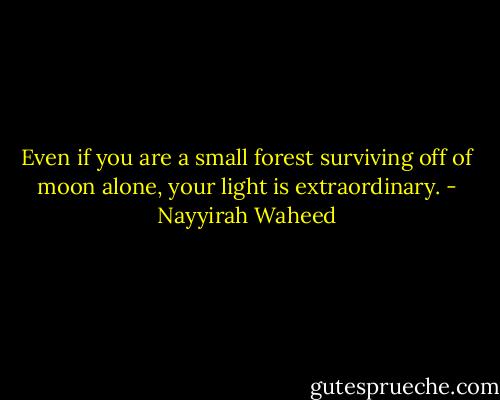 Even if you are a small forest surviving off of moon alone, your light is extraordinary. - Nayyirah Waheed