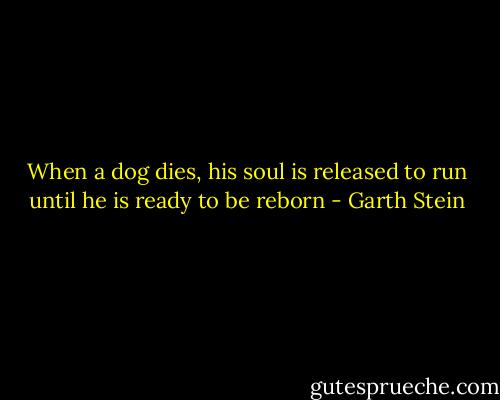 When a dog dies, his soul is released to run until he is ready to be reborn - Garth Stein