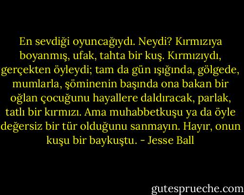 En sevdiği oyuncağıydı. Neydi? Kırmızıya boyanmış, ufak, tahta bir kuş. Kırmızıydı, gerçekten öyleydi; tam da gün ışığında, gölgede, mumlarla, şöminenin başında ona bakan bir oğlan çocuğunu hayallere daldıracak, parlak, tatlı bir kırmızı. Ama muhabbetkuşu ya da öyle değersiz bir tür olduğunu sanmayın. Hayır, onun kuşu bir baykuştu. - Jesse Ball