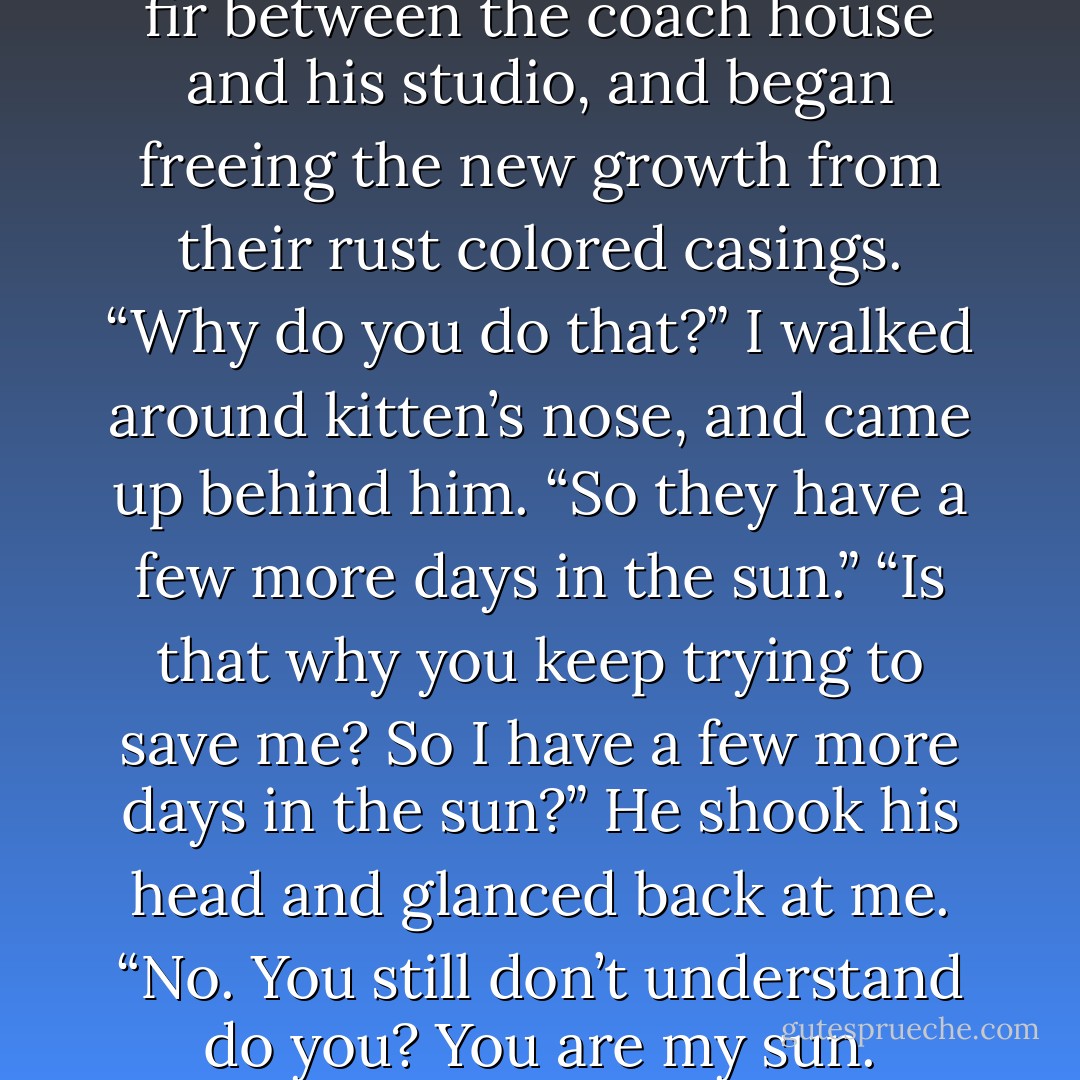 Justin wandered over to the big fir between the coach house and his studio, and began freeing the new growth from their rust colored casings.<br />“Why do you do that?” I walked around kitten’s nose, and came up behind him.<br />“So they have a few more days in the sun.”<br />“Is that why you keep trying to save me? So I have a few more days in the sun?”<br />He shook his head and glanced back at me. “No. You still don’t understand do you? You <i>are</i> my sun. - Tara Spears