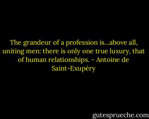The grandeur of a profession is...above all, uniting men: there is only one true luxury, that of human relationships. - Antoine de Saint-Exupéry