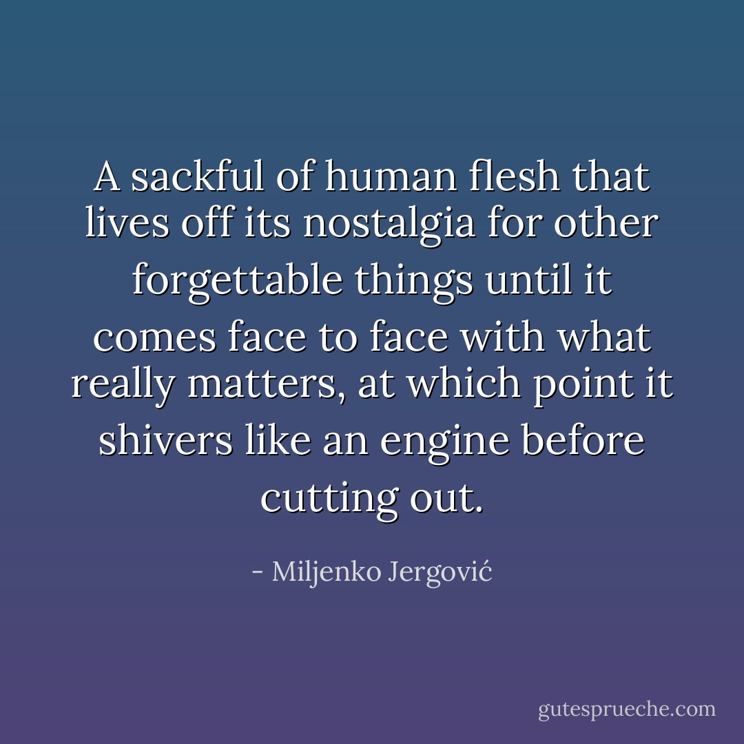 A sackful of human flesh that lives off its nostalgia for other forgettable things until it comes face to face with what really matters, at which point it shivers like an engine before cutting out. - Miljenko Jergović