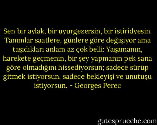 Sen bir aylak, bir uyurgezersin, bir istiridyesin. Tanımlar saatlere, günlere göre değişiyor ama taşıdıkları anlam az çok belli: Yaşamanın, harekete geçmenin, bir şey yapmanın pek sana göre olmadığını hissediyorsun; sadece sürüp gitmek istiyorsun, sadece bekleyişi ve unutuşu istiyorsun. - Georges Perec