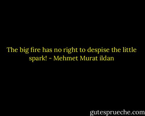 The big fire has no right to despise the little spark! - Mehmet Murat ildan