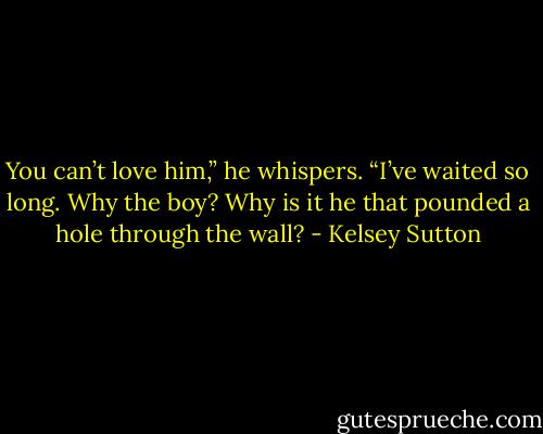 You can’t love him,” he whispers. “I’ve waited so long. Why the boy? Why is it he that pounded a hole through the wall? - Kelsey Sutton