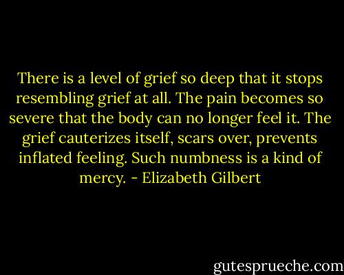 There is a level of grief so deep that it stops resembling grief at all. The pain becomes so severe that the body can no longer feel it. The grief cauterizes itself, scars over, prevents inflated feeling. Such numbness is a kind of mercy. - Elizabeth Gilbert