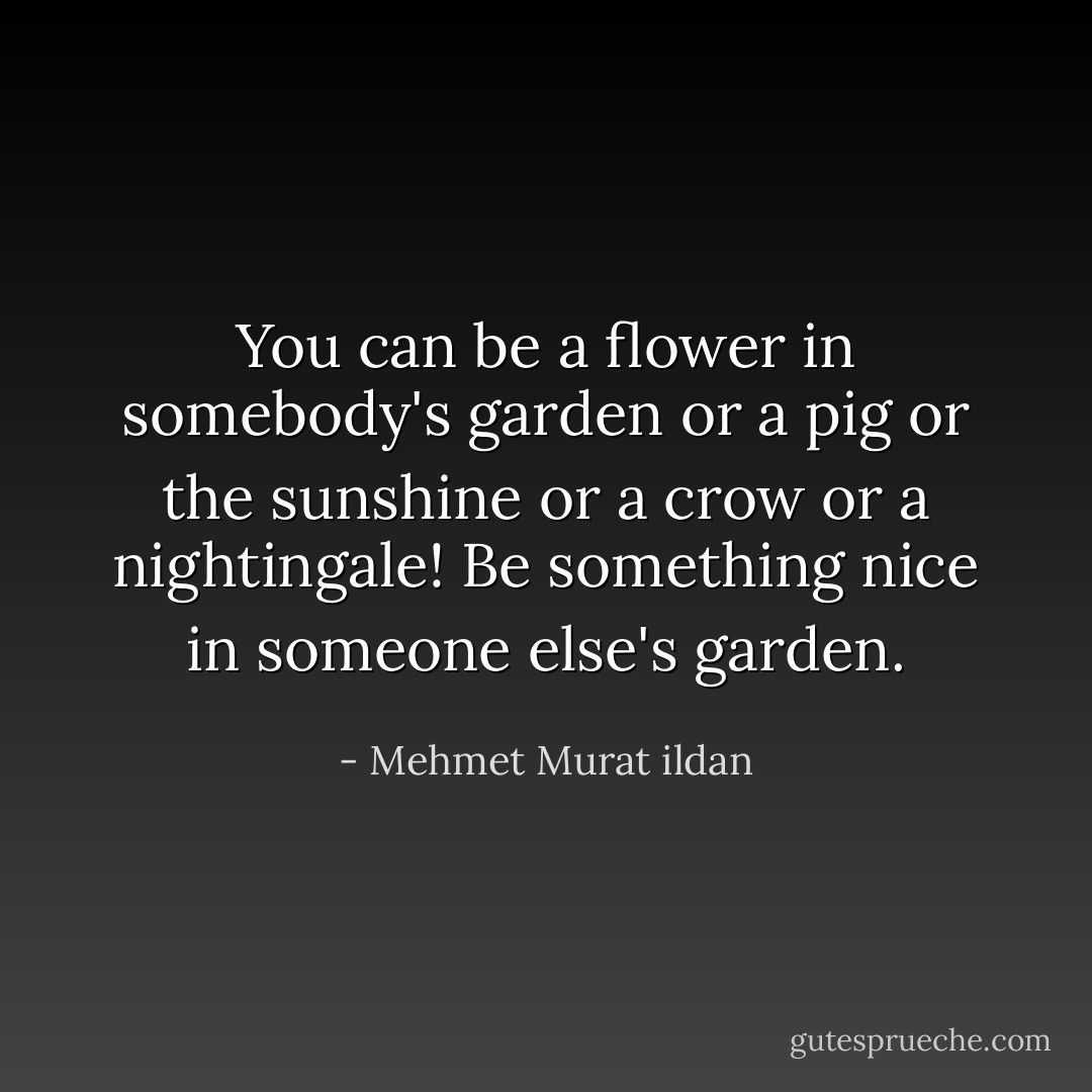 You can be a flower in somebody's garden or a pig or the sunshine or a crow or a nightingale! Be something nice in someone else's garden. - Mehmet Murat ildan