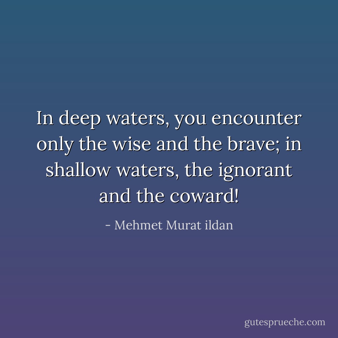 In deep waters, you encounter only the wise and the brave; in shallow waters, the ignorant and the coward! - Mehmet Murat ildan