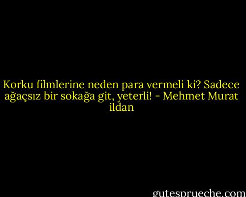 Korku filmlerine neden para vermeli ki? Sadece ağaçsız bir sokağa git, yeterli! - Mehmet Murat ildan