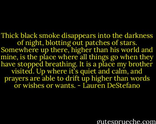 Thick black smoke disappears into the darkness of night, blotting out patches of stars. Somewhere up there, higher than his world and mine, is the place where all things go when they have stopped breathing. It is a place my brother visited. Up where it's quiet and calm, and prayers are able to drift up higher than words or wishes or wants. - Lauren DeStefano
