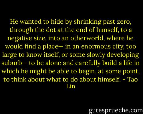 He wanted to hide by shrinking past zero, through the dot at the end of himself, to a negative size, into an otherworld, where he would find a place— in an enormous city, too large to know itself, or some slowly developing suburb— to be alone and carefully build a life in which he might be able to begin, at some point, to think about what to do about himself. - Tao Lin