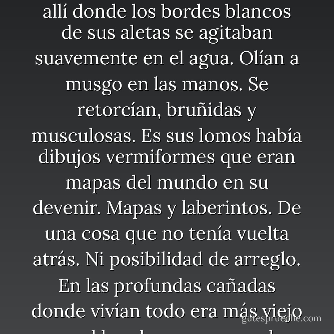 Una vez hubo truchas en los arroyos de la montaña. Podías verlas en la corriente ambarina allí donde los bordes blancos de sus aletas se agitaban suavemente en el agua. Olían a musgo en las manos. Se retorcían, bruñidas y musculosas. Es sus lomos había dibujos vermiformes que eran mapas del mundo en su devenir. Mapas y laberintos. De una cosa que no tenía vuelta atrás. Ni posibilidad de arreglo. En las profundas cañadas donde vivían todo era más viejo que el hombre y murmuraba misterio. - Cormac McCarthy