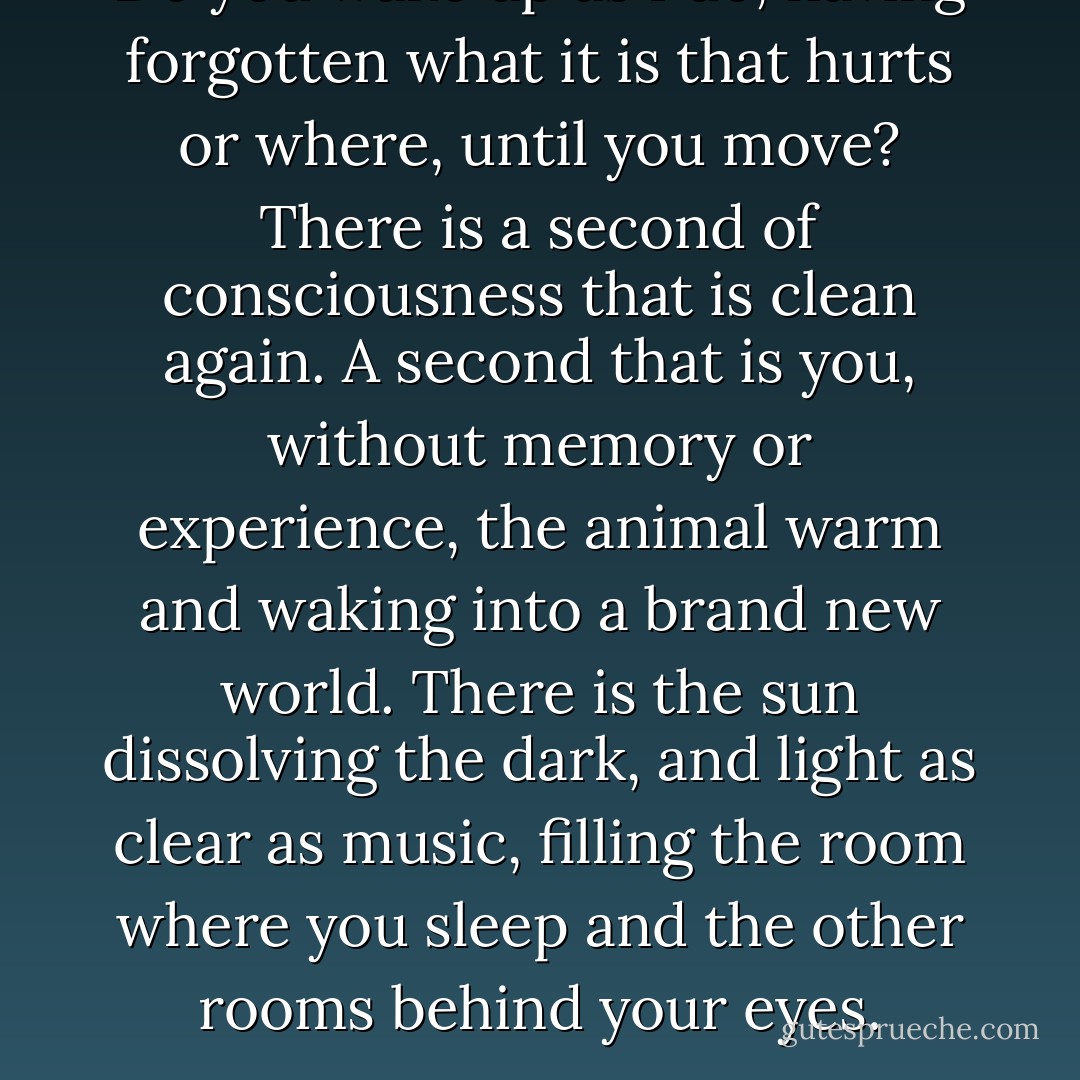 Do you wake up as I do, having forgotten what it is that hurts or where, until you move? There is a second of consciousness that is clean again. A second that is you, without memory or experience, the animal warm and waking into a brand new world. There is the sun dissolving the dark, and light as clear as music, filling the room where you sleep and the other rooms behind your eyes. - Jeanette Winterson