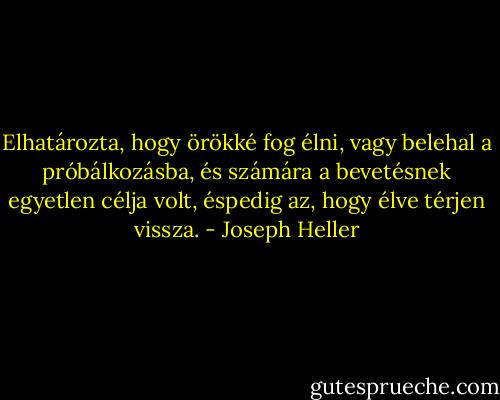 Elhatározta, hogy örökké fog élni, vagy belehal a próbálkozásba, és számára a bevetésnek egyetlen célja volt, éspedig az, hogy élve térjen vissza. - Joseph Heller