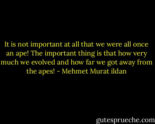 It is not important at all that we were all once an ape! The important thing is that how very much we evolved and how far we got away from the apes! - Mehmet Murat ildan