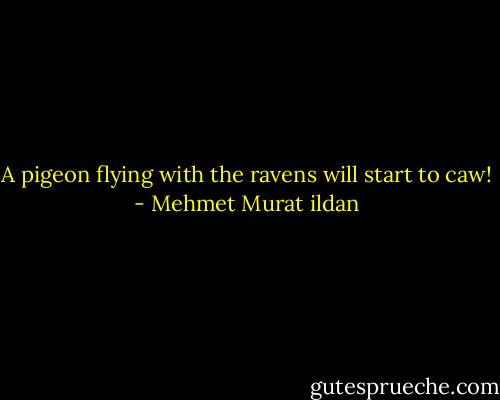 A pigeon flying with the ravens will start to caw! - Mehmet Murat ildan