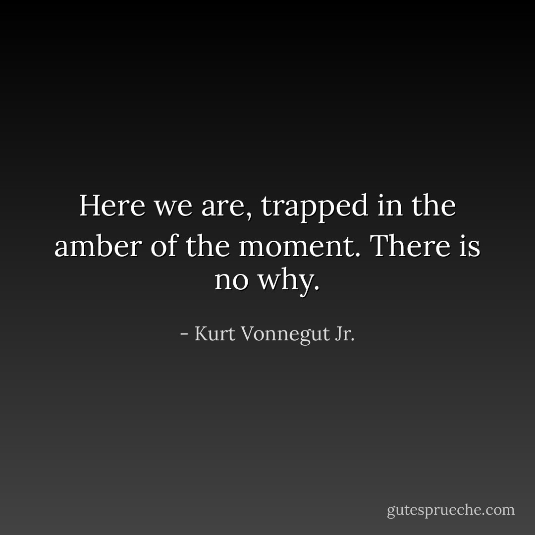 Here we are, trapped in the amber of the moment. There is no why. - Kurt Vonnegut Jr.