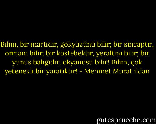 Bilim, bir martıdır, gökyüzünü bilir; bir sincaptır, ormanı bilir; bir köstebektir, yeraltını bilir; bir yunus balığıdır, okyanusu bilir! Bilim, çok yetenekli bir yaratıktır! - Mehmet Murat ildan