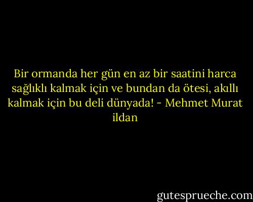 Bir ormanda her gün en az bir saatini harca sağlıklı kalmak için ve bundan da ötesi, akıllı kalmak için bu deli dünyada! - Mehmet Murat ildan