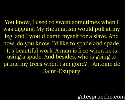 You know, I used to sweat sometimes when I was digging. My rheumatism would pull at my leg, and I would damn myself for a slave. And now, do you know, I'd like to spade and spade. It's beautiful work. A man is free when he is using a spade. And besides, who is going to prune my trees when I am gone? - Antoine de Saint-Exupéry