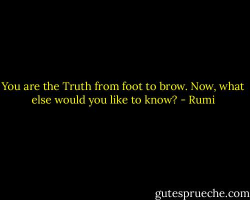 You are the Truth from foot to brow. Now, what else would you like to know? - Rumi