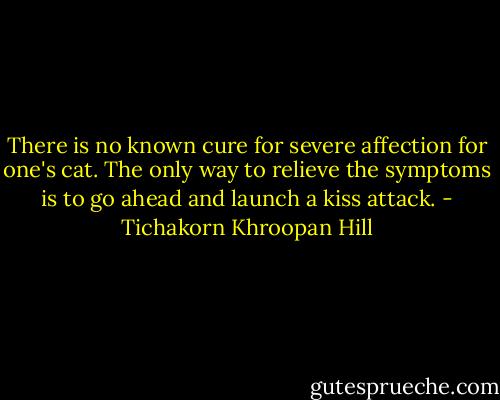 There is no known cure for severe affection for one's cat. The only way to relieve the symptoms is to go ahead and launch a kiss attack. - Tichakorn Khroopan Hill