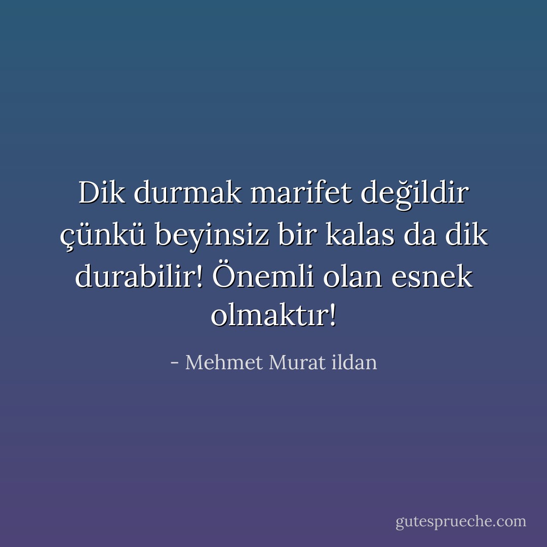 Dik durmak marifet değildir çünkü beyinsiz bir kalas da dik durabilir! Önemli olan esnek olmaktır! - Mehmet Murat ildan