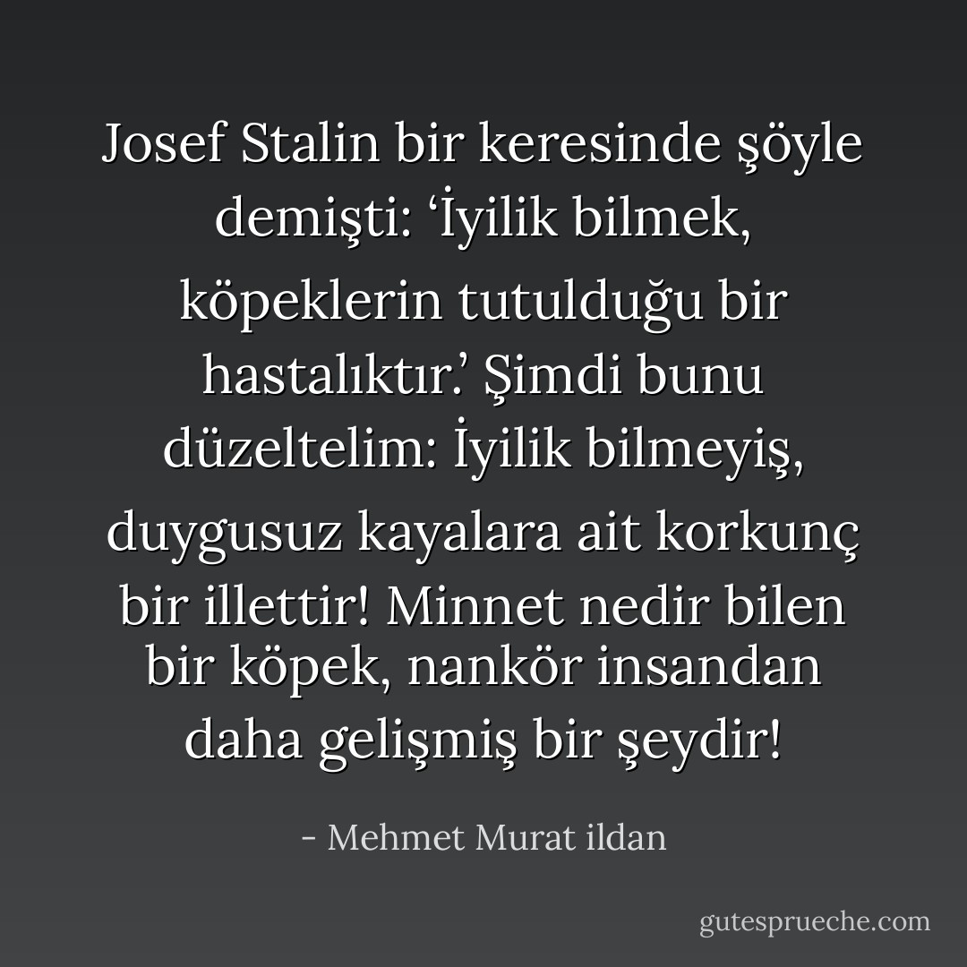Josef Stalin bir keresinde şöyle demişti: ‘İyilik bilmek, köpeklerin tutulduğu bir hastalıktır.’ Şimdi bunu düzeltelim: İyilik bilmeyiş, duygusuz kayalara ait korkunç bir illettir! Minnet nedir bilen bir köpek, nankör insandan daha gelişmiş bir şeydir! - Mehmet Murat ildan