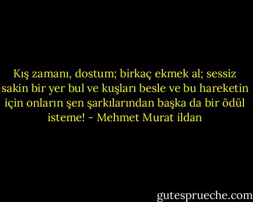 Kış zamanı, dostum; birkaç ekmek al; sessiz sakin bir yer bul ve kuşları besle ve bu hareketin için onların şen şarkılarından başka da bir ödül isteme! - Mehmet Murat ildan