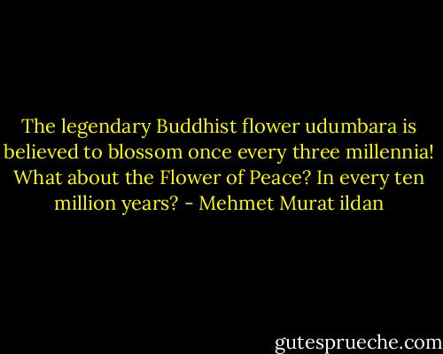 The legendary Buddhist flower udumbara is believed to blossom once every three millennia! What about the Flower of Peace? In every ten million years? - Mehmet Murat ildan