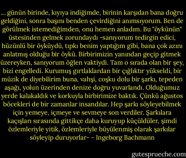 ... günün birinde, kıyıya indiğimde, birinin karşıdan bana doğru geldiğini, sonra başını benden çevirdiğini anımsıyorum. Ben de görülmek istemediğimden, onu hemen anladım. Bu "öykünün" üstesinden gelmek zorundaydı -sanıyorum tedirgin edici, hüzünlü bir öyküydü, tıpkı benim yaptığım gibi, bana çok azını anlatmış olduğu bir öykü. Birbirimizin yanından geçip gitmek üzereyken, sanıyorum öğlen vaktiydi. Tam o sırada olan bir şey, bizi engelledi. Kurumuş gırtlaklardan bir çığlıktır yükseldi, bir müzik de diyebilirim buna, vahşi, coşku dolu bir şarkı, tepeden aşağı, yolun üzerinden denize doğru yuvarlandı. Olduğumuz yerde kalakaldık ve korkuyla birbirimize baktık. Çünkü ağustos böcekleri de bir zamanlar insandılar. Hep şarkı söyleyebilmek için yemeye, içmeye ve sevmeye son verdiler. Şarkılara kaçışları sırasında gittikçe daha kuruyup küçüldüler, şimdi özlemleriyle yitik, özlemleriyle büyülenmiş olarak şarkılar söyleyip duruyorlar- - Ingeborg Bachmann