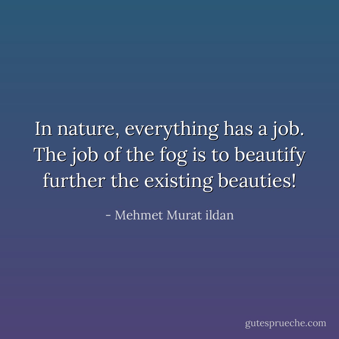 In nature, everything has a job. The job of the fog is to beautify further the existing beauties! - Mehmet Murat ildan