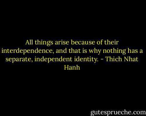 All things arise because of their interdependence, and that is why nothing has a separate, independent identity. - Thich Nhat Hanh