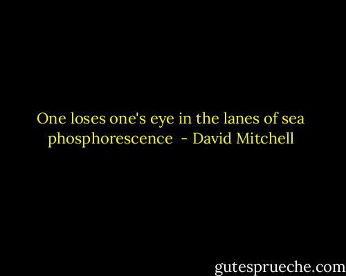 One loses one's eye in the lanes of sea phosphorescence  - David Mitchell