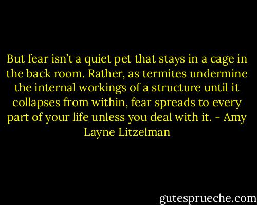 But fear isn’t a quiet pet that stays in a cage in the back room. Rather, as termites undermine the internal workings of a structure until it collapses from within, fear spreads to every part of your life unless you deal with it. - Amy Layne Litzelman