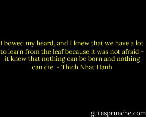 I bowed my heard, and I knew that we have a lot to learn from the leaf because it was not afraid - it knew that nothing can be born and nothing can die. - Thich Nhat Hanh