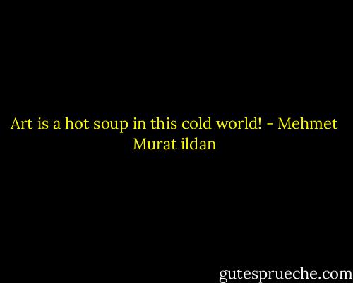 Art is a hot soup in this cold world! - Mehmet Murat ildan