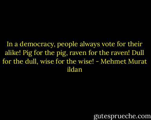In a democracy, people always vote for their alike! Pig for the pig, raven for the raven! Dull for the dull, wise for the wise! - Mehmet Murat ildan