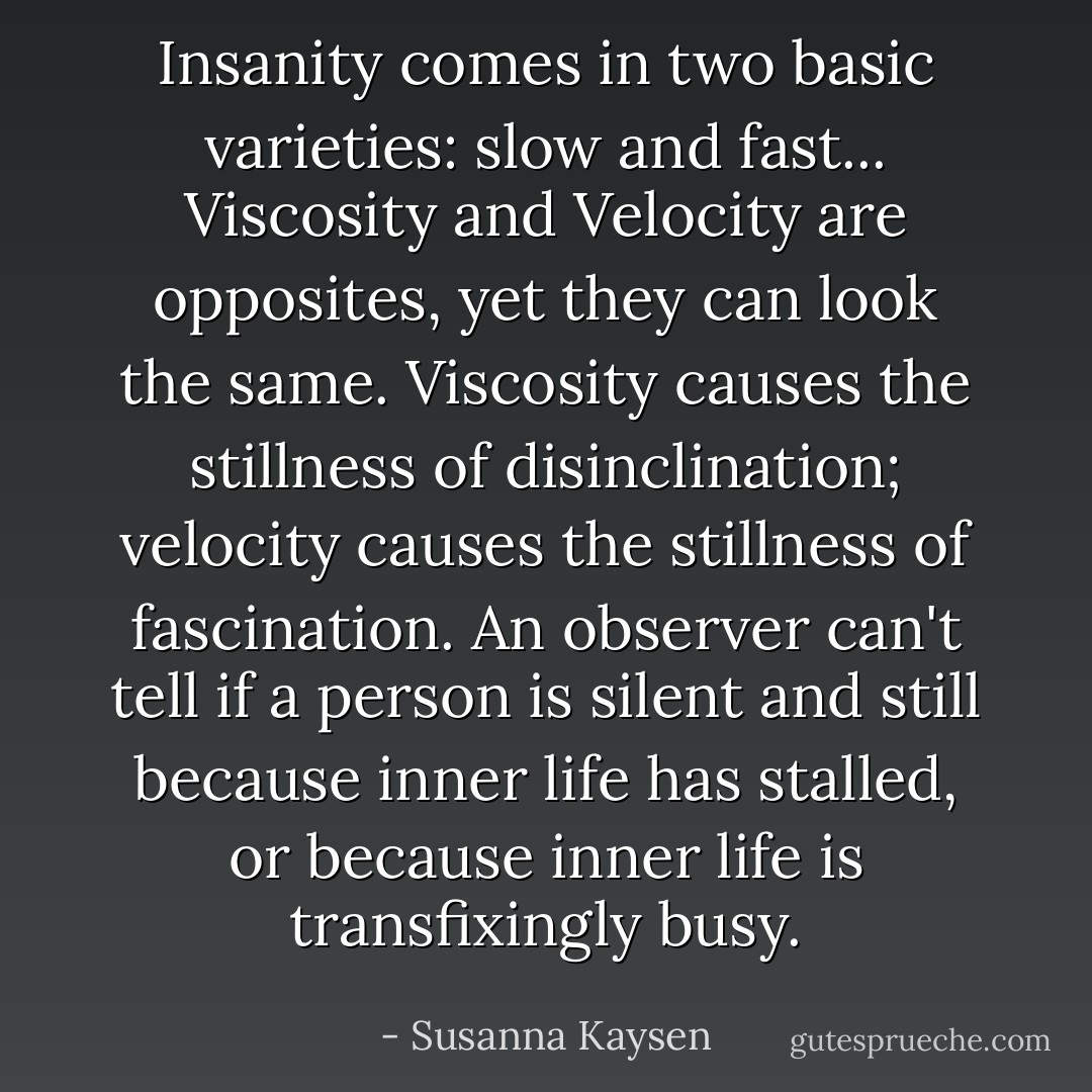Insanity comes in two basic varieties: slow and fast... Viscosity and Velocity are opposites, yet they can look the same. Viscosity causes the stillness of disinclination; velocity causes the stillness of fascination. An observer can't tell if a person is silent and still because inner life has stalled, or because inner life is transfixingly busy. - Susanna Kaysen