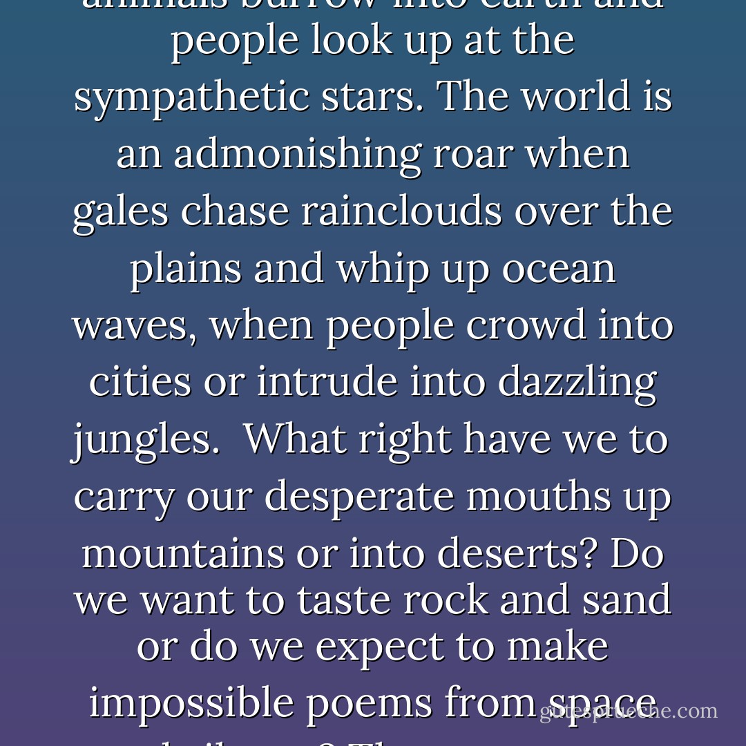 The world is a wide place where we stumble like children learning to walk. The world is a bright mosaic where we learn like children to see, where our little blurry eyes strive greedily to take in as much light and love and colour and detail as they can.<br /><br />The world is a coaxing whisper when the wind lips the trees, when the sea licks the shore, when animals burrow into earth and people look up at the sympathetic stars. The world is an admonishing roar when gales chase rainclouds over the plains and whip up ocean waves, when people crowd into cities or intrude into dazzling jungles.<br /><br />What right have we to carry our desperate mouths up mountains or into deserts? Do we want to taste rock and sand or do we expect to make impossible poems from space and silence? The vastness at least reminds us how tiny we are, and how much we don't yet understand. We are mere babes in the universe, all brothers and sisters in the nursery together. We had better learn to play nicely before we're allowed out..... And we want to go out, don't we? ..... Into the distant humming welcoming darkness. - Jay Woodman