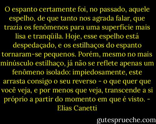 O espanto certamente foi, no passado, aquele espelho, de que tanto nos agrada falar, que trazia os fenômenos para uma superfície mais lisa e tranqüila. Hoje, esse espelho está despedaçado, e os estilhaços do espanto tornaram-se pequenos. Porém, mesmo no mais minúsculo estilhaço, já não se reflete apenas um fenômeno isolado: impiedosamente, este arrasta consigo o seu reverso - o que quer que você veja, e por menos que veja, transcende a si próprio a partir do momento em que é visto. - Elias Canetti
