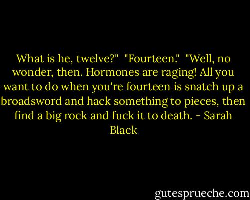 What is he, twelve?"<br /><br />"Fourteen."<br /><br />"Well, no wonder, then. Hormones are raging! All you want to do when you're fourteen is snatch up a broadsword and hack something to pieces, then find a big rock and fuck it to death. - Sarah Black