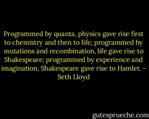 Programmed by quanta, physics gave rise first to chemistry and then to life; programmed by mutations and recombination, life gave rise to Shakespeare; programmed by experience and imagination, Shakespeare gave rise to Hamlet. - Seth Lloyd