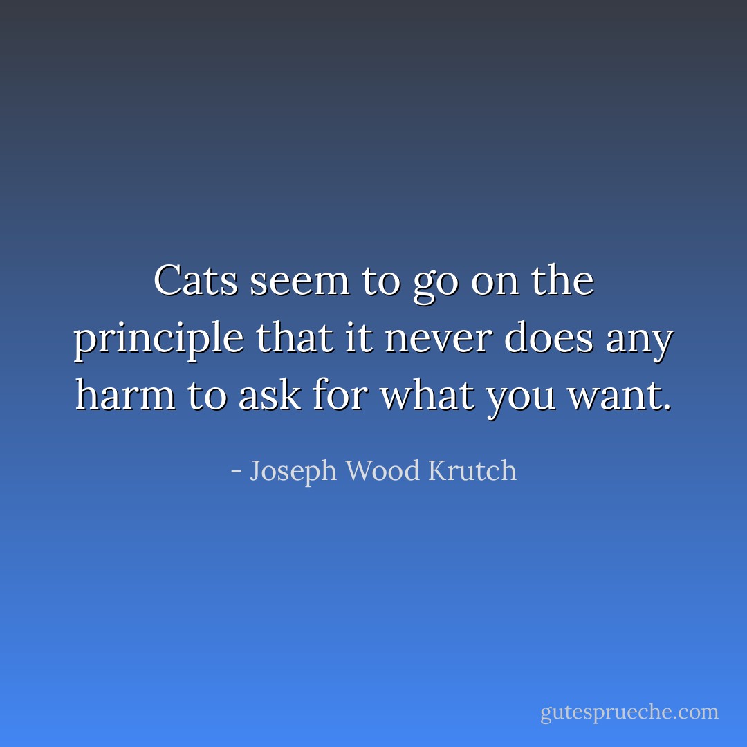 Cats seem to go on the principle that it never does any harm to ask for what you want. - Joseph Wood Krutch