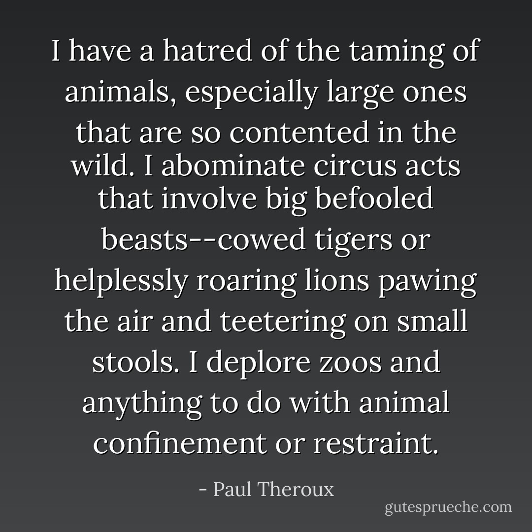 I have a hatred of the taming of animals, especially large ones that are so contented in the wild. I abominate circus acts that involve big befooled beasts--cowed tigers or helplessly roaring lions pawing the air and teetering on small stools. I deplore zoos and anything to do with animal confinement or restraint. - Paul Theroux