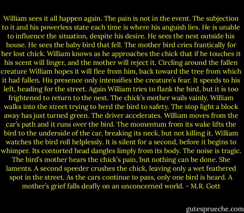 William sees it all happen again. The pain is not in the event. The subjection to it and his powerless state each time is where his anguish lies. He is unable to influence the situation, despite his desire. He sees the nest outside his house. He sees the baby bird that fell. The mother bird cries frantically for her lost chick. William knows as he approaches the chick that if he touches it his scent will linger, and the mother will reject it. Circling around the fallen creature William hopes it will flee from him, back toward the tree from which it had fallen. His presence only intensifies the creature’s fear. It speeds to his left, heading for the street. Again William tries to flank the bird, but it is too frightened to return to the nest. The chick’s mother wails vainly. William walks into the street trying to herd the bird to safety. The stop light a block away has just turned green. The driver accelerates. William moves from the car’s path and it runs over the bird. The momentum from its wake lifts the bird to the underside of the car, breaking its neck, but not killing it. William watches the bird roll helplessly. It is silent for a second, before it begins to whimper. Its contorted head dangles limply from its body. The noise is tragic. The bird’s mother hears the chick’s pain, but nothing can be done. She laments. A second speeder crushes the chick, leaving only a wet feathered spot in the street. As the cars continue to pass, only one bird is heard. A mother’s grief falls deafly on an unconcerned world. - M.R. Gott