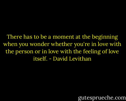 There has to be a moment at the beginning when you wonder whether you're in love with the person or in love with the feeling of love itself. - David Levithan