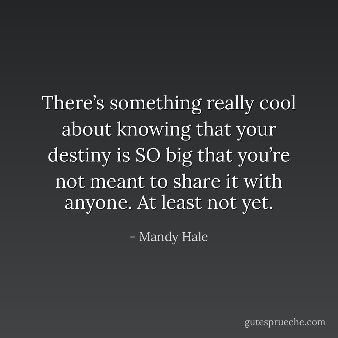 There’s something really cool about knowing that your destiny is SO big that you’re not meant to share it with anyone. At least not yet. - Mandy Hale