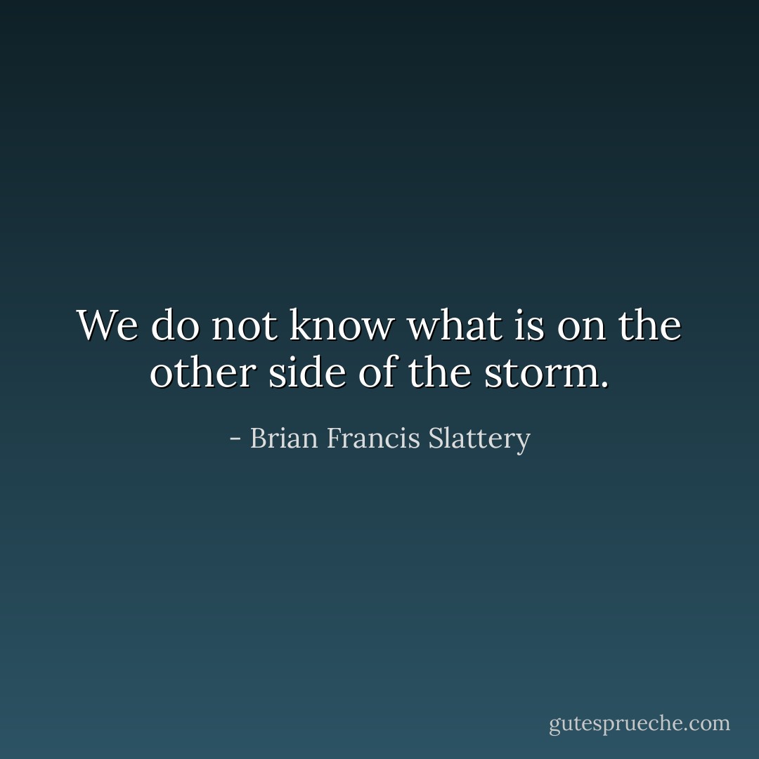 We do not know what is on the other side of the storm. - Brian Francis Slattery