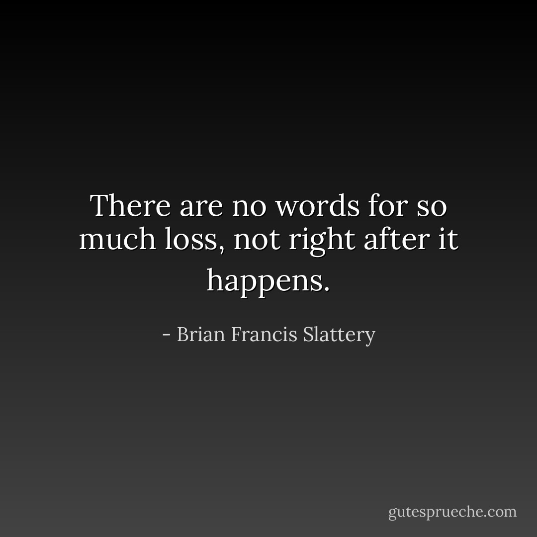 There are no words for so much loss, not right after it happens. - Brian Francis Slattery